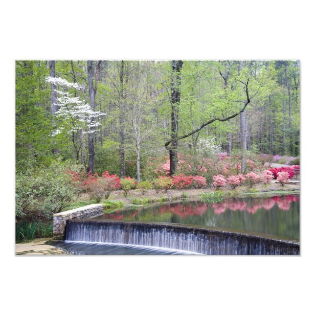 USA, Georgia, Pine Mountain. A small waterfall Photo Print (Front)