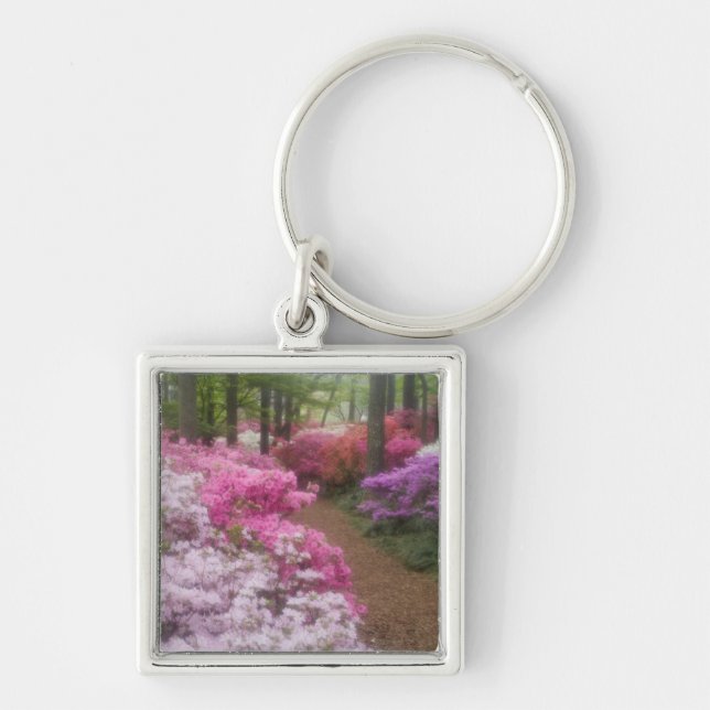 USA; Georgia; Pine Mountain. Azaleas at 2 Key Ring (Front)