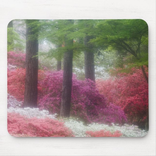 USA; Georgia; Pine mountain. Azaleas at Mouse Pad (Front)