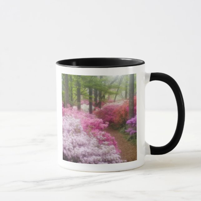 USA; Georgia; Pine Mountain. Azaleas at Mug (Right)