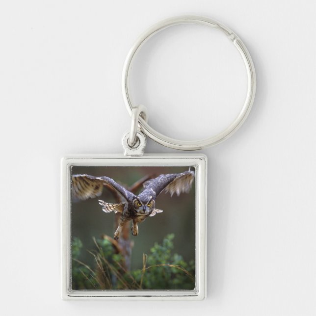 USA, Georgia, Pine Mountain, Callaway Gardens. Key Ring (Front)