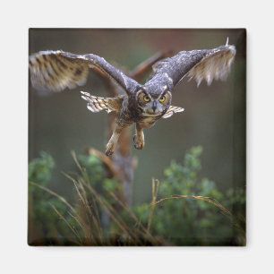 USA, Georgia, Pine Mountain, Callaway Gardens. Magnet