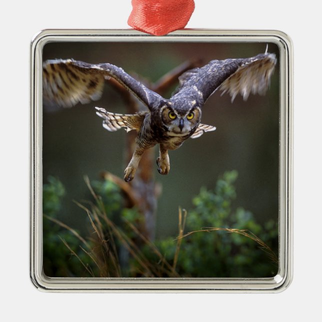 USA, Georgia, Pine Mountain, Callaway Gardens. Metal Ornament (Front)