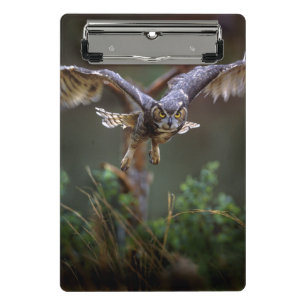 USA, Georgia, Pine Mountain, Callaway Gardens Mini Clipboard
