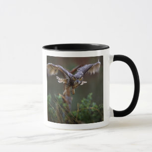 USA, Georgia, Pine Mountain, Callaway Gardens. Mug