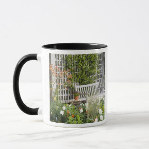 USA, Georgia, Pine Mountain. Chair in the Mug