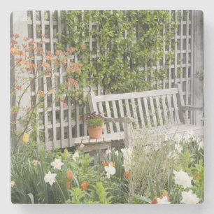 USA, Georgia, Pine Mountain. Chair in the Stone Coaster