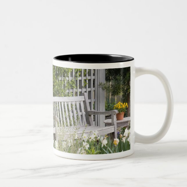 USA, Georgia, Pine Mountain. Chair in the Two-Tone Coffee Mug (Right)