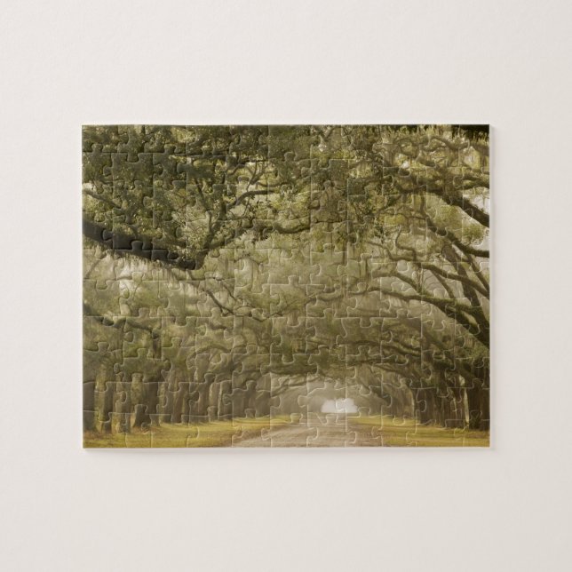 USA, Georgia, Savannah, An oak lined drive in Jigsaw Puzzle (Horizontal)