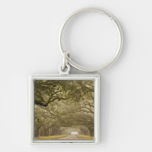USA, Georgia, Savannah, An oak lined drive in Key Ring (Front)