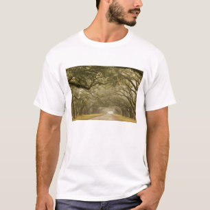 USA, Georgia, Savannah, An oak lined drive in T-Shirt