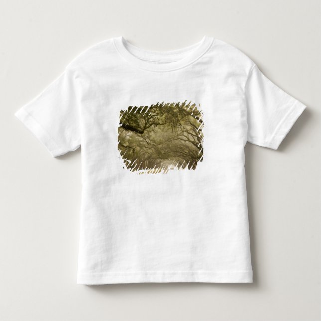 USA, Georgia, Savannah, An oak lined drive in Toddler T-Shirt (Front)