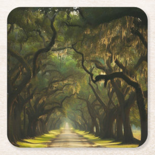 USA, Georgia, Savannah, An oak lined drive Square Paper Coaster