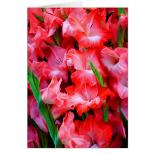 USA, Georgia, Savannah, Bouquet Of Gladiolus