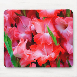 USA, Georgia, Savannah, Bouquet Of Gladiolus Mouse Pad