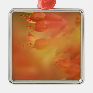USA Georgia Savannah buckeye flower abstract Metal Ornament