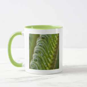 USA, Georgia, Savannah, Close-Up Of New Fronds Mug