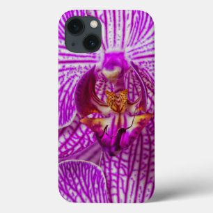 USA, Georgia, Savannah, Close-Up Of Orchid iPhone 13 Case