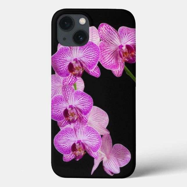 USA, Georgia, Savannah, Cluster Of Orchids 2 Case-Mate iPhone Case (Back)