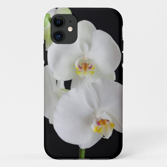 USA, Georgia, Savannah, Cluster Of Orchids Case-Mate iPhone Case (Back)