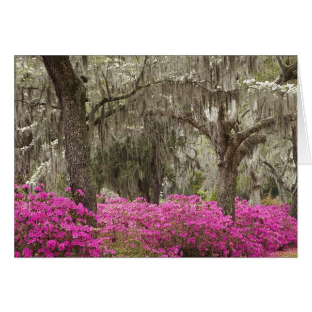 USA, Georgia, Savannah, Spring at Historic (Front Horizontal)