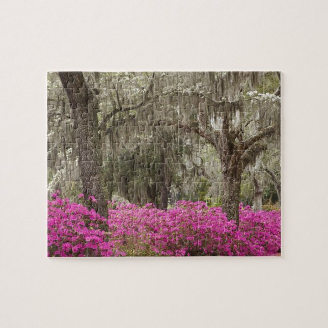 USA, Georgia, Savannah, Spring at Historic Jigsaw Puzzle (Horizontal)