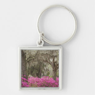 USA, Georgia, Savannah, Spring at Historic Key Ring