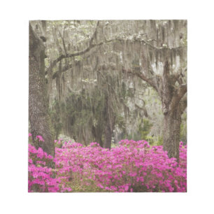 USA, Georgia, Savannah, Spring at Historic Notepad