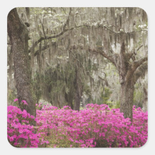 USA, Georgia, Savannah, Spring at Historic Square Sticker