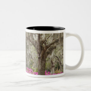 USA, Georgia, Savannah, Spring at Historic Two-Tone Coffee Mug