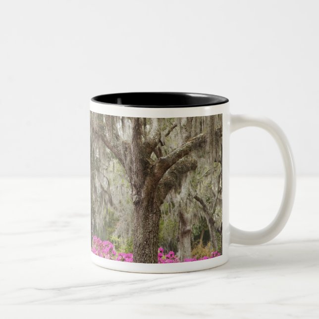 USA, Georgia, Savannah, Spring at Historic Two-Tone Coffee Mug (Right)