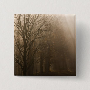 USA Great Smoky Mountain NP Tennessee trees in 15 Cm Square Badge