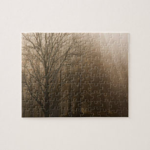USA Great Smoky Mountain NP Tennessee trees in Jigsaw Puzzle