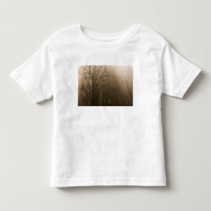 USA Great Smoky Mountain NP Tennessee trees in Toddler T-Shirt