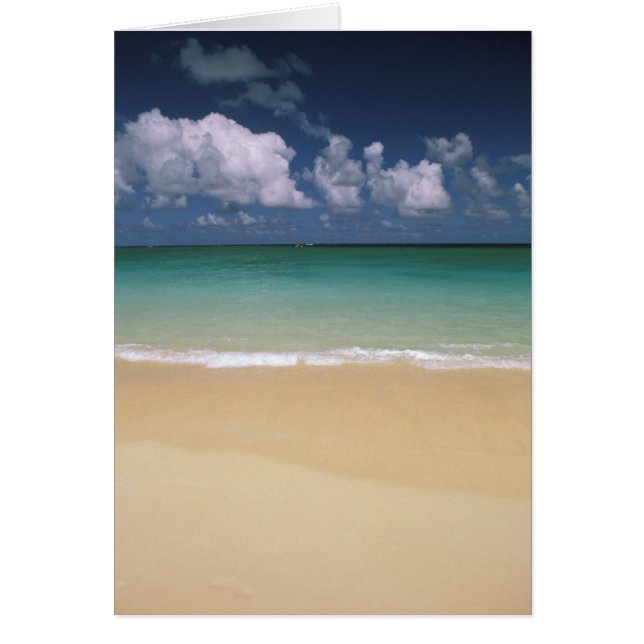 USA, Hawaii. Beach scene (Front)