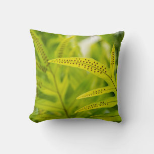 USA, Hawaii, Big Island. Tropical Green Fern Cushion