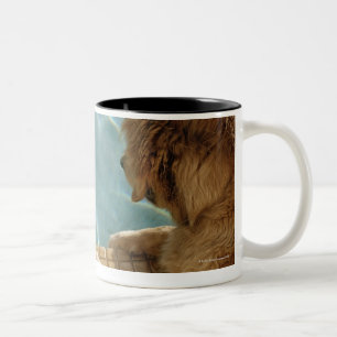 USA, Hawaii, Honolulu. Two-Tone Coffee Mug