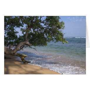USA, Hawaii, Kauai, beach scenic. RF)