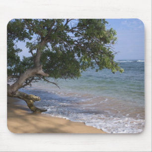 USA, Hawaii, Kauai, beach scenic. RF) Mouse Pad