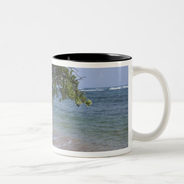 USA, Hawaii, Kauai, beach scenic. RF) Two-Tone Coffee Mug (Right)