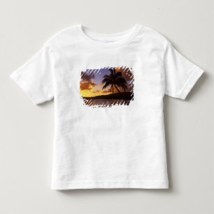 USA, Hawaii, Kauai, Colourful sunrise in a 2 Toddler T-Shirt