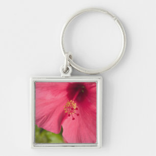 USA, Hawaii, Kauai, Hibiscus Key Ring