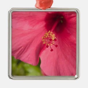 USA, Hawaii, Kauai, Hibiscus Metal Ornament
