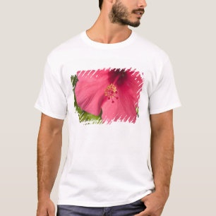 USA, Hawaii, Kauai, Hibiscus T-Shirt