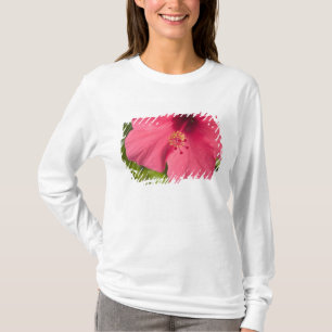 USA, Hawaii, Kauai, Hibiscus T-Shirt