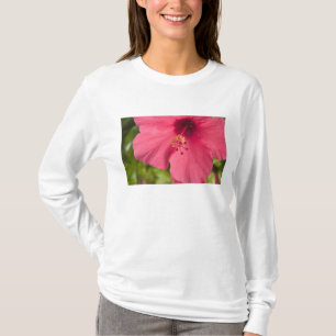 USA, Hawaii, Kauai, Hibiscus T-Shirt