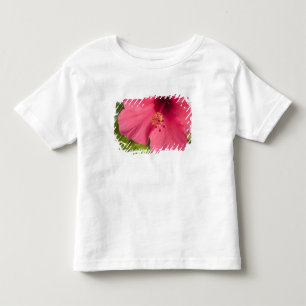 USA, Hawaii, Kauai, Hibiscus Toddler T-Shirt