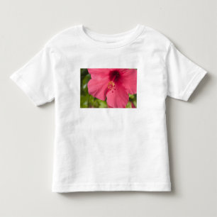 USA, Hawaii, Kauai, Hibiscus Toddler T-Shirt