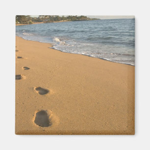 USA, Hawaii, Kauai, Kapa'a, beachfront. RF) Magnet