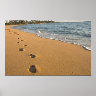USA, Hawaii, Kauai, Kapa'a, beachfront. RF) Poster